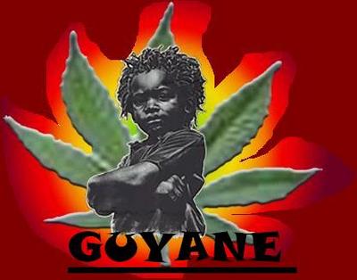 mov�� rasta pliss fosssss